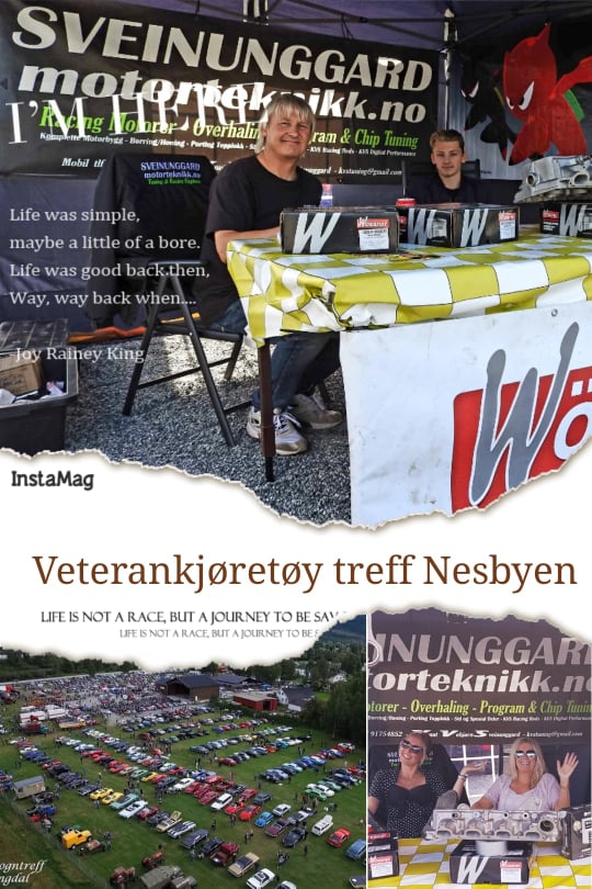vetarantreff nesbyen